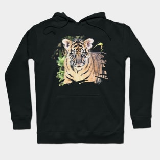 Paint Stroke Tiger Cub Hoodie